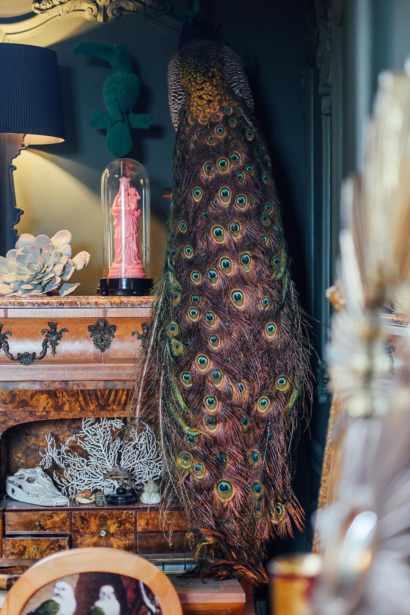 Malouiniere Guillaume Onffroy Bed & Breakfast Saint-Malo Bagian luar foto